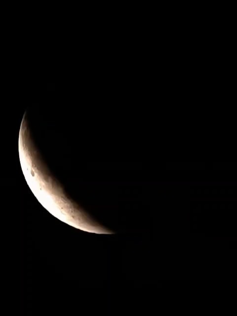 🌕🔭 Mondfinsternis im Rauenberger Weinberg – ein besonderer Abend für und mit unseren Grünen-Mitgliedern. 💚🍇
#GrüneRauenberg #mondfinsternis2025 #rauenberg #weinberge #teleskop #heimat